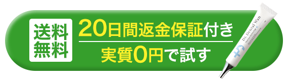 送料無料　20日間返金保証付き実質0円で試す