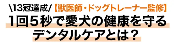 ＼13冠達成／【獣医師・ドッグトレーナー監修】1回5秒で愛犬の健康を守るデンタルケアとは？